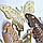 Висічки з картону для скрапбукингу "Метелики", фото 4