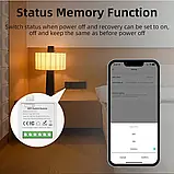 Реле 2-х два канали Tuya Smart Life Wi-Fi двоканальне реле в підрозетник MINI-2CH дзвінковий вимикач, фото 7
