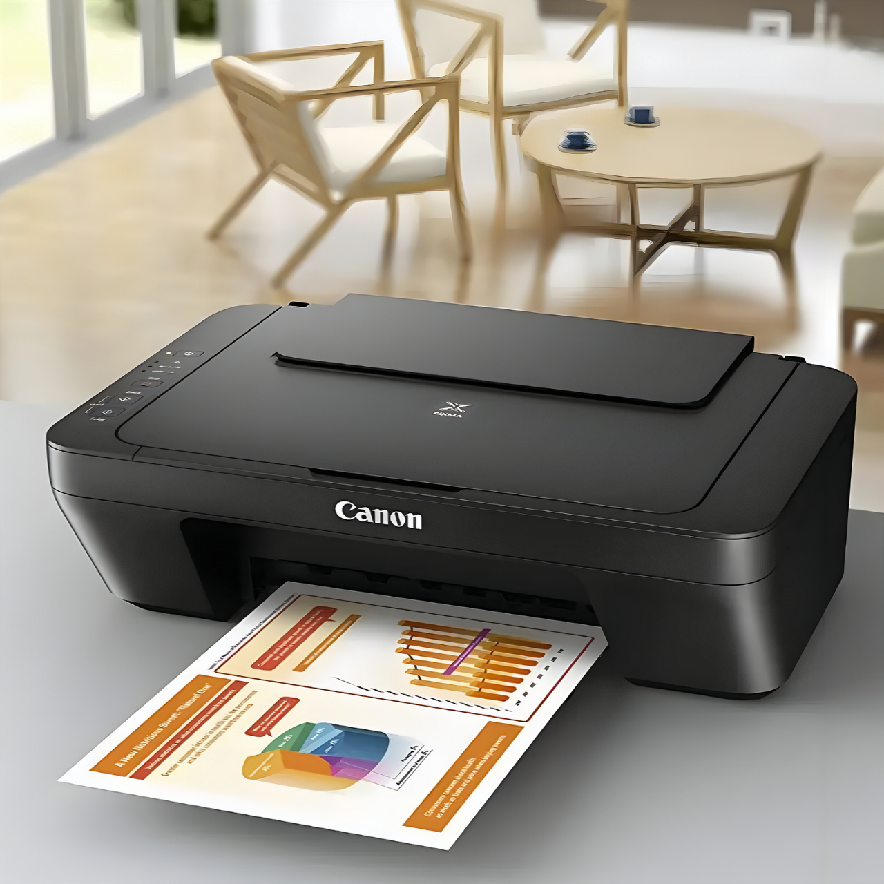 Купить Принтер цветной для дома Canon PIXMA MG2555S, Струйные принтеры ...