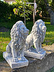 Набір садових сірих Левів лівий та правий, скульптури Левів для декору,  статуетка Лева, 34 см, фото 5