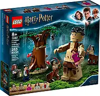 Конструктор Lego Harry Potter Заборонений ліс Грохх і Долорес Амбрідж 75967