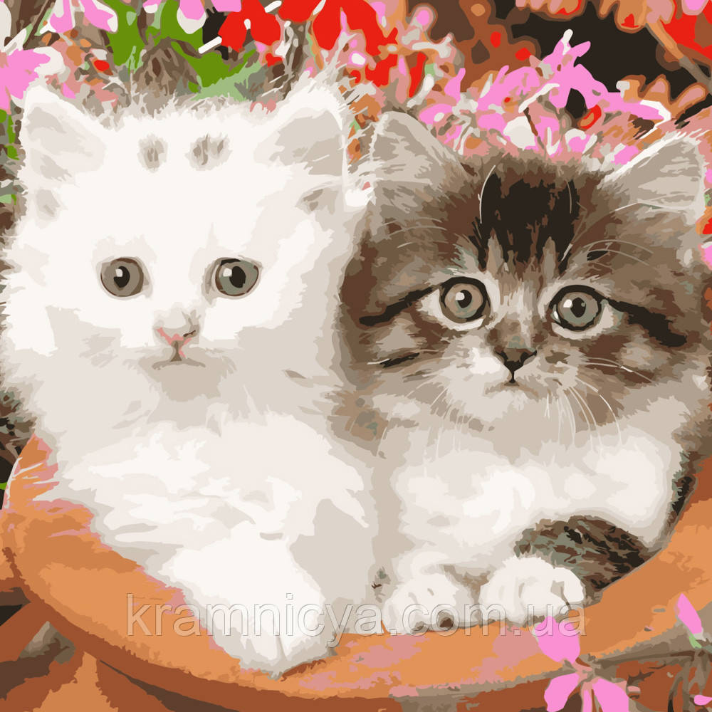 Картина за номерами Біле та сіре кошеня, Strateg 40х40 (SK039), фото 1