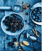 Картина за номерами Ожиновий натюрморт, Strateg 40х50 (GS585)