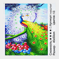 Картина за номерами + Алмазна мозаїка 2в1 YHDGJ 71947 (30) "TK Group", 50х40см, в коробці