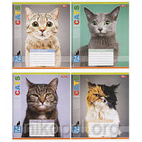 Зошит шкільний 24 аркуші клітинка, серія "Портрети котів", білизна 100%