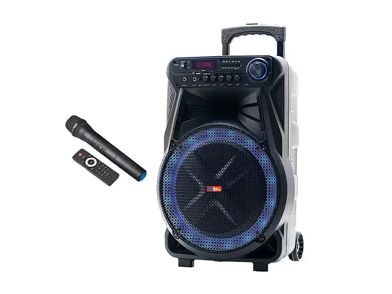 Акустична переносна колонка SS-7373 400 Вт 12" 53х35х28см USB/SD/FM/BT/2MIC/ДК 1 шт 9069
