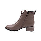 Черевики жіночі Lady Marcia капучіно натуральна шкіра, 37, фото 2