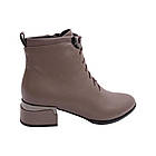 Черевики жіночі Lady Marcia капучіно натуральна шкіра, 37, фото 4