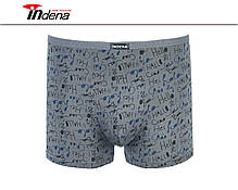 Юніор на хлопчика боксери бамбук Марка INDENA АРТ.22203, фото 6