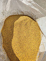 Семена Горчица (желтая) 5 кг удобрение,медоносная и кормовая культура отличный сидерат