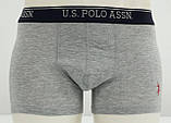 Набір чоловічих трусів S-36 сірий,синій Polo 21050, фото 6