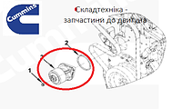 Помпа двигателя, водяной насос, для дизельных двигателей Cummins QSB6.7