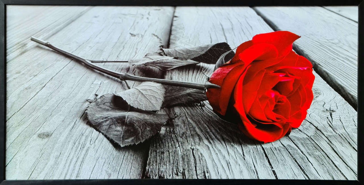 Фотокартина в дерев'яній рамі Rose 2 50х100 см POS-50100-278