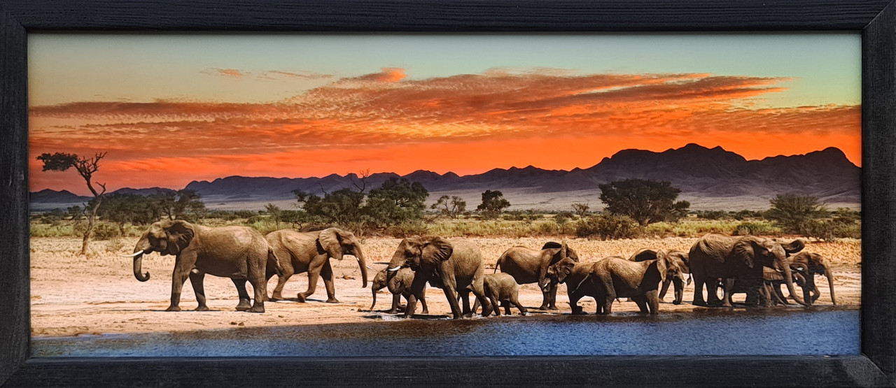 Фотокартина в дерев'яній рамі Elephants 2 20х50 см POS-2050-141