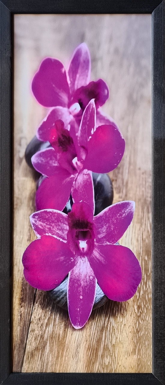 Фотокартина в дерев'яній рамі Orchid 5 20х50 см POS-2050-124