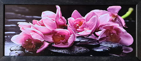 Фотокартина в дерев'яній рамі Flower 6 20х50 см POS-2050-123, фото 1