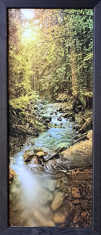 Фотокартина в дерев'яній рамі Forest 1 20х50 см POS-2050-147, фото 1