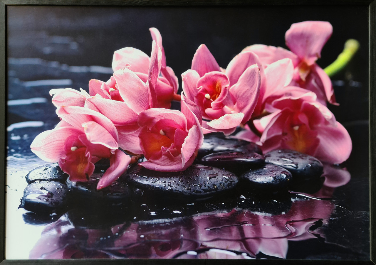 Фотокартина у дерев'яній рамі Flower 6 70х100 см POS-70100-303