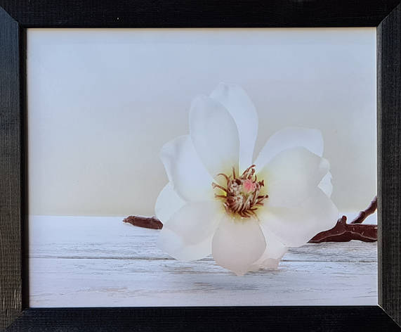 Фотокартина в дерев'яній рамі "Flower 11", 20х25 см, POS-2025-082, фото 1