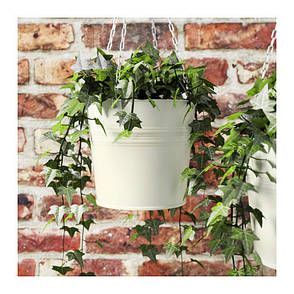 Кашпо підвісне, білий, 403.388.58, ІКЕА, IKEA, SOCKER, фото 2