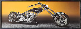 Фотокартина в дерев'яній рамі Bike 1 35х100 см POS-35100-231