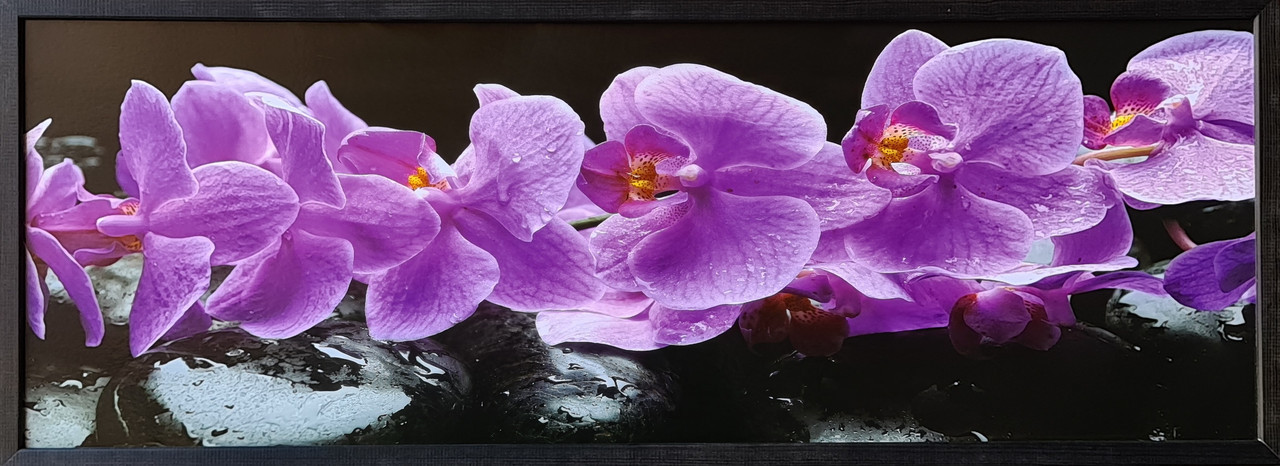 Фотокартина в дерев'яній рамі Flower 8 35х100 см POS-35100-248