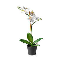 Искусственная орхидея в горшке ИКЕА FEJKA белая 002.859.08