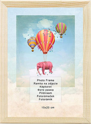 Рамка для фотографій 15х20 см незабарвлений PGR-10019, фото 1