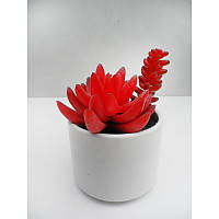 Искусственное растение суккулент красный XI-138