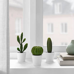 Набір штучних сукулентів в горщику IKEA FEJKA 3 шт 605.229.97, фото 3