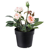Искусственное растение в горшке IKEA FEJKA для дома и улицы розовая роза 20 см 003.953.13