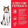 Hill's Science Plan Mature Adult 7+ Сухий корм для зрілих котів від 7 років, з куркою, 10  кг, фото 3