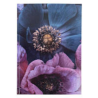 Тетрадь А4 твердая обложка 192 листа Axent 8423 Flora фиолетовая Канцелярская книга