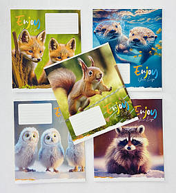 Зошит на 12 аркушів У косу лінію Enjoy 3252(12кл) Школярик