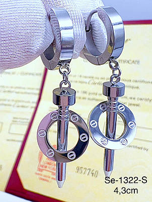 Сережки Stainlees Steel, фото 1