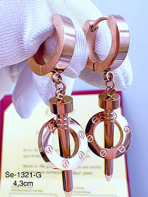 Сережки Stainlees Steel, фото 1