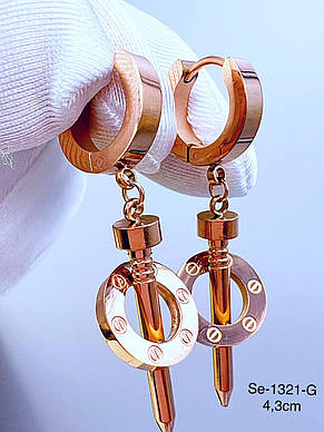 Сережки Stainlees Steel, фото 4