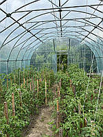 Теплиця "Західна-6х30" 6х30х3м з подвійною плівкою 150 мкм + зигзаг профіль