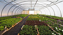 Теплиця "Західна-10х12" 10х12х4.5м + плівка 150 мкм+ зигзаг профіль