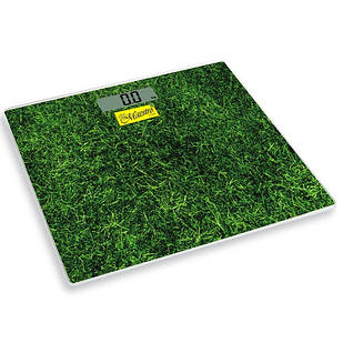 Ваги 1824 Маестро (підлогові/ел) 150 кг.