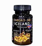 Омега 3 - 500 Риб'ячий жир, капсули по 500 мг №60, фото 2