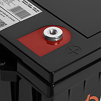 Акумулятор літієвий LP LiFePO4 з Bluetooth 24 вольт 100 ампер 2560Wh Smart BMS 100А для ДБЖ безперебійника, фото 6