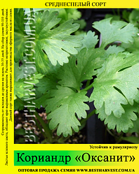 Насіння Коріандру (кінза) "Оксаніт" 1 кг