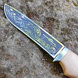 Ніж фіксований Сокіл, 65Х13, дерево, фото 3