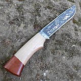 Ніж фіксований Сокіл, 65Х13, дерево, фото 4