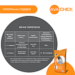 Комбікорм для яєчних перепелів AVA Chick TQ S. Фасовка 25 кг., фото 5