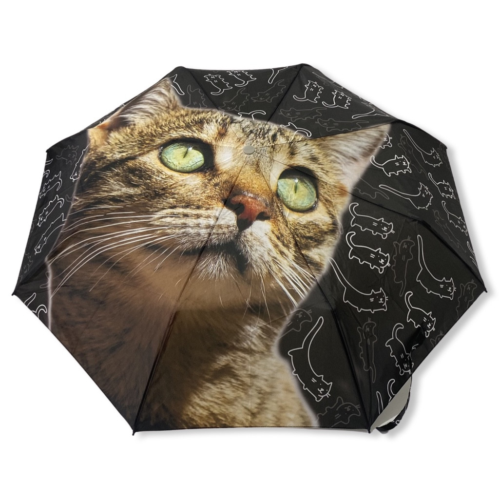 Механічна парасолька Eso Fecske з кішками. #053207/5