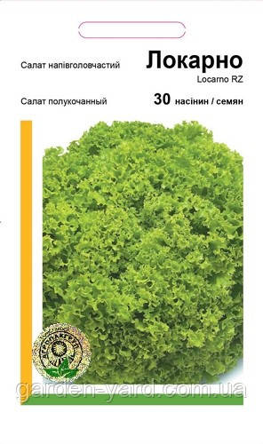 Насіння салат напівголовчастий Локарно 30нас. Rijk Zwaan  Голландія