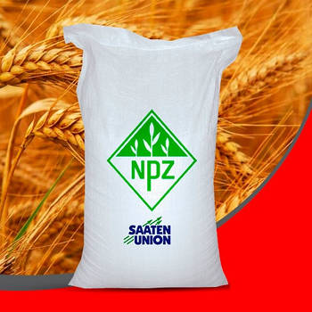 Озима пшениця Мулан еліта Saaten Union безоста