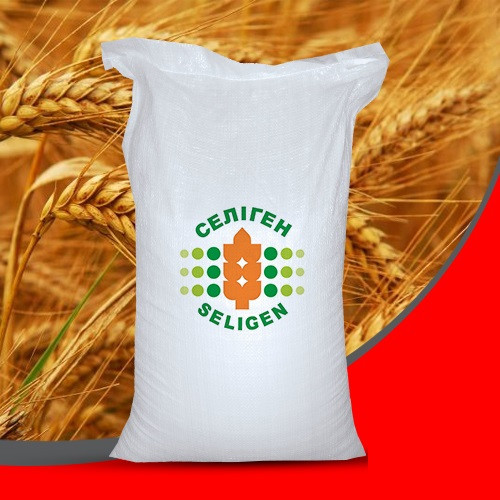 Насіння пшениці озимої Гарантія Одеська остиста еліта Одеська селекція, фото 1